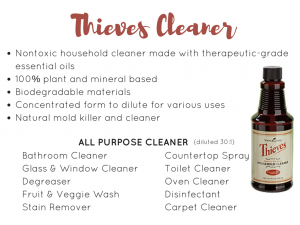 thieves-cleaner