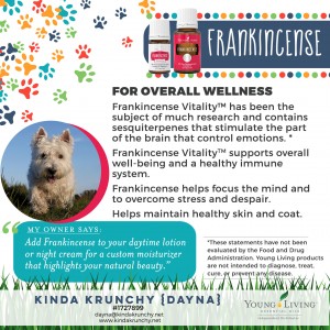 10-Dogs-Frankincense