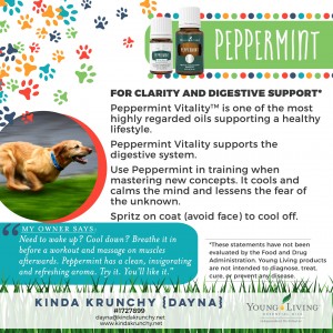 12-Dogs-Peppermint