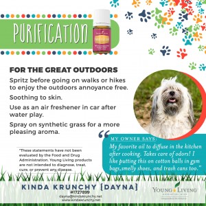 15-Dogs-Purification