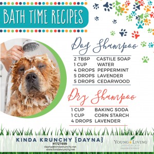 27-Dogs-Bath-Time