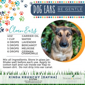 28-Dogs-Clean-Ears