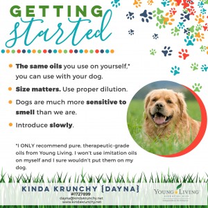 5-Dogs-Getting-Started